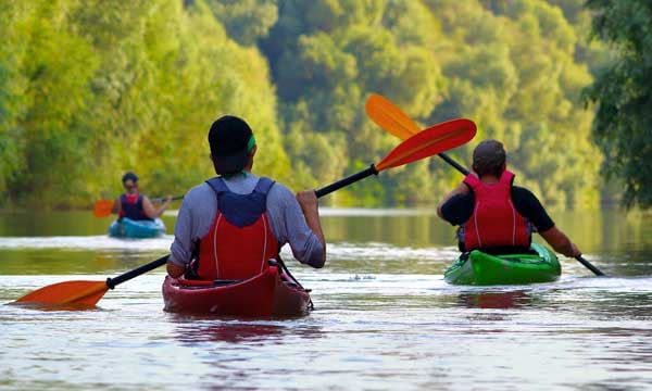 Hourly Paddleboard & Kayak Rentals on the Napa River