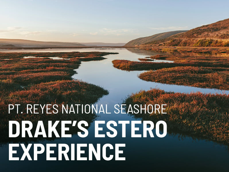 test-drakes-estero-tile