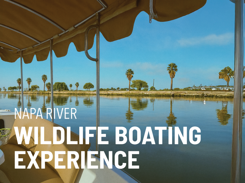 NVP-TOURS-boat-experience