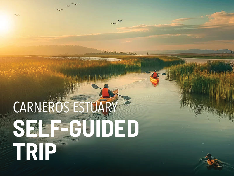 NVP-TOURS-carneros-estuary