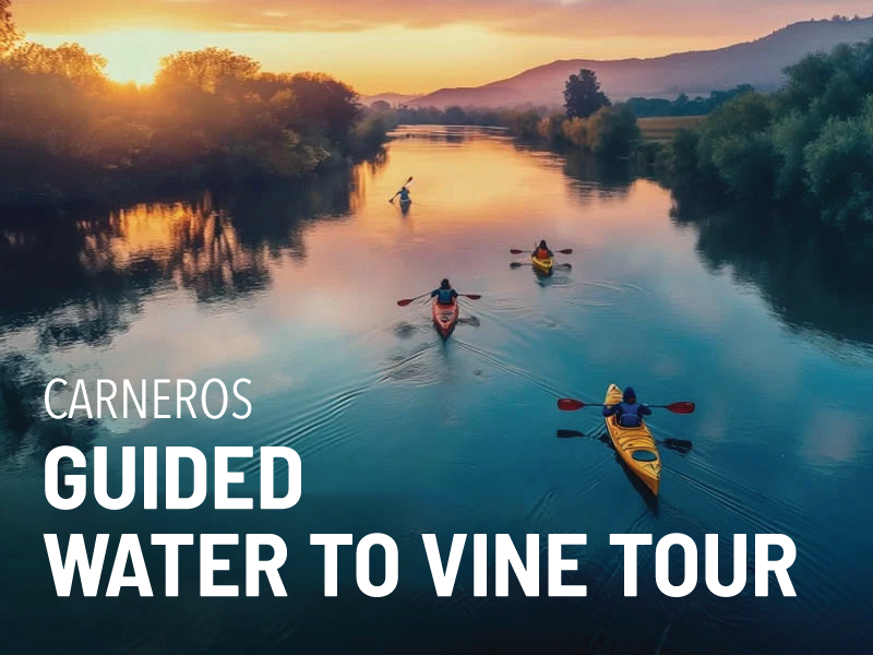 NVP-TOURS-carneros-w2v