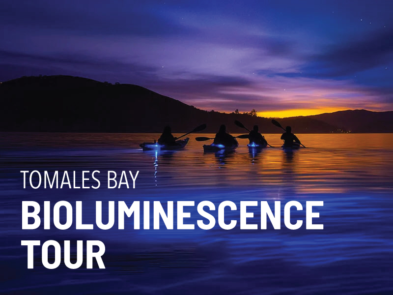 NVP-TOURS-tomales-bay