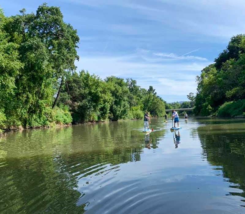 Oxbow Preserve Napa River Kayak & Paddleboard Rentals
