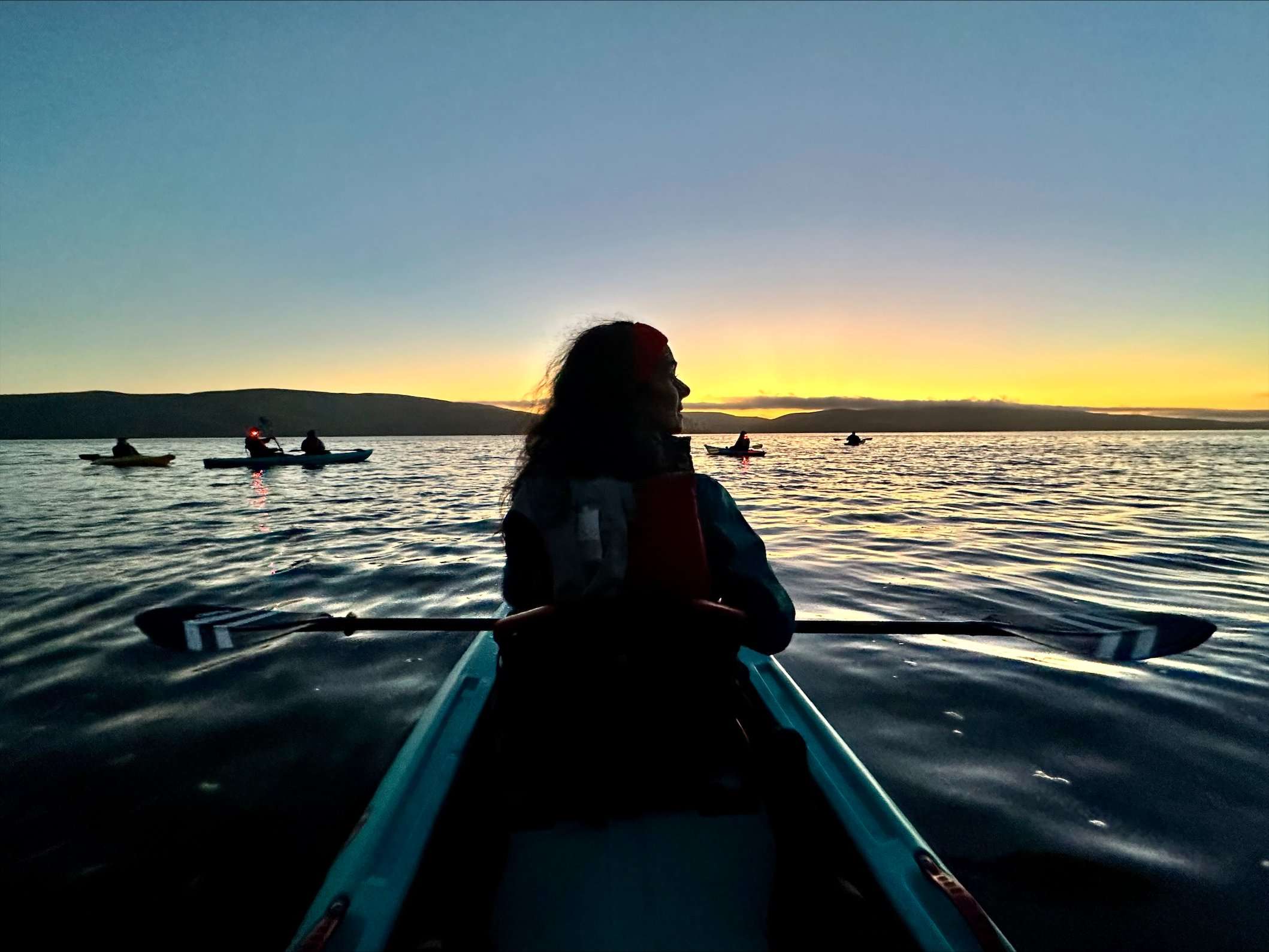 Bioluminescence Tour in Tomales Bay