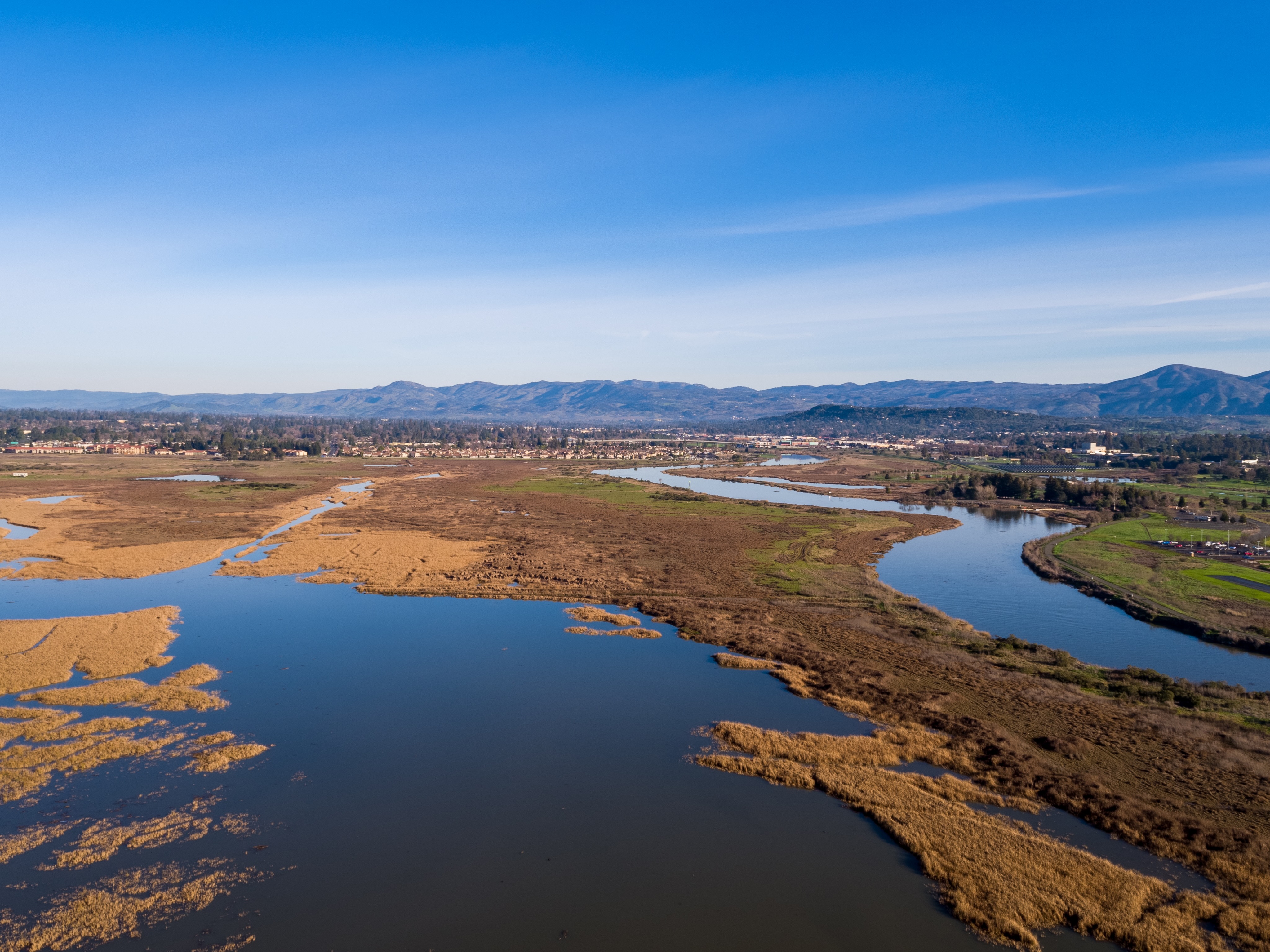 Wetlands South Napa