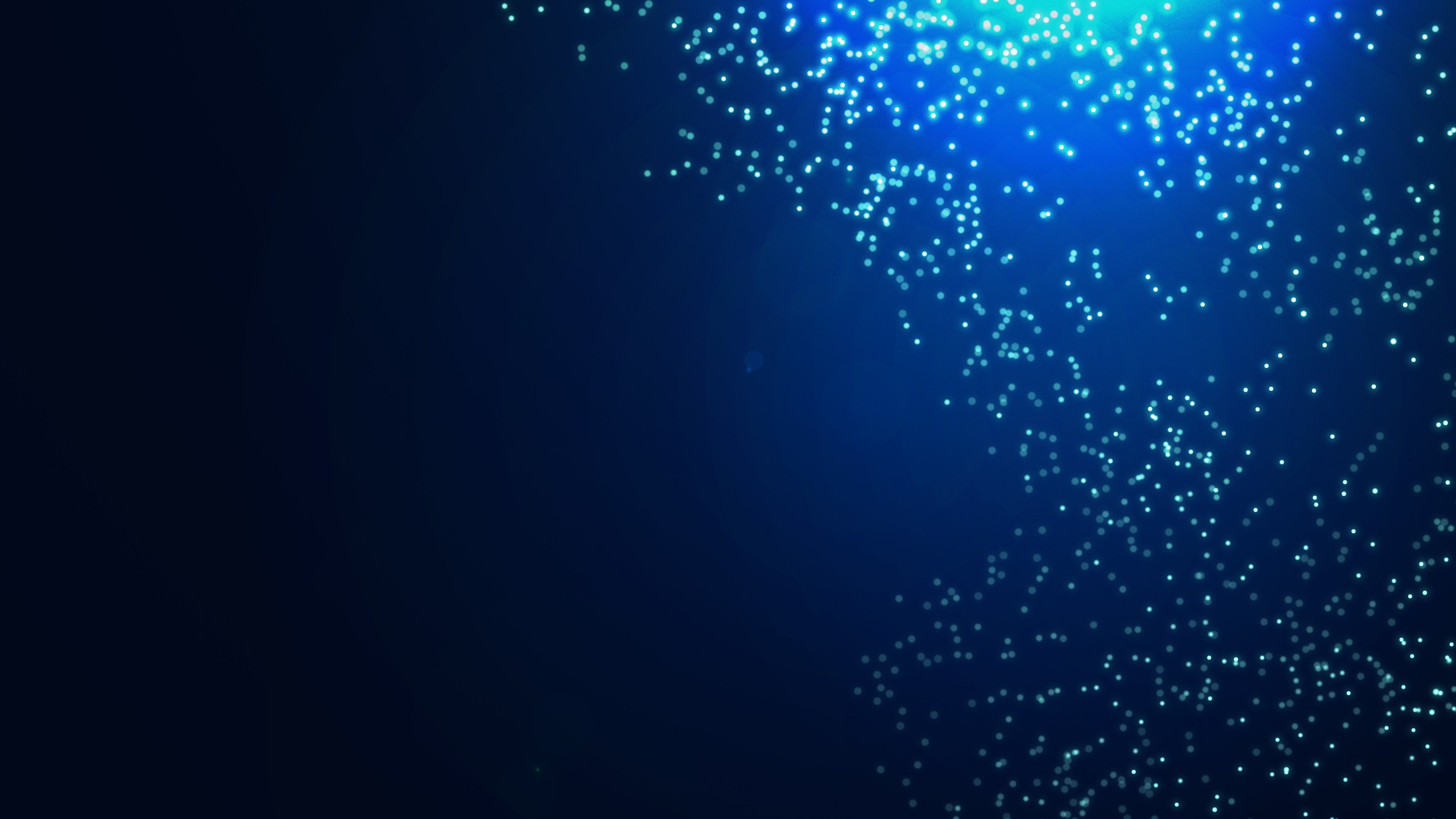 Bioluminescence Tour in Tomales Bay