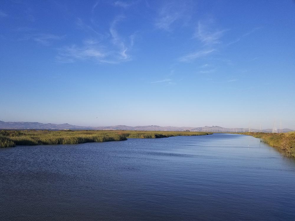 petaluma-river