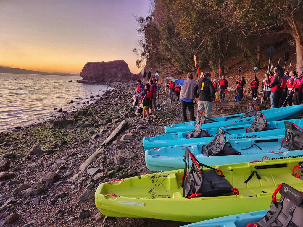 Bioluminescence Tour in Tomales Bay