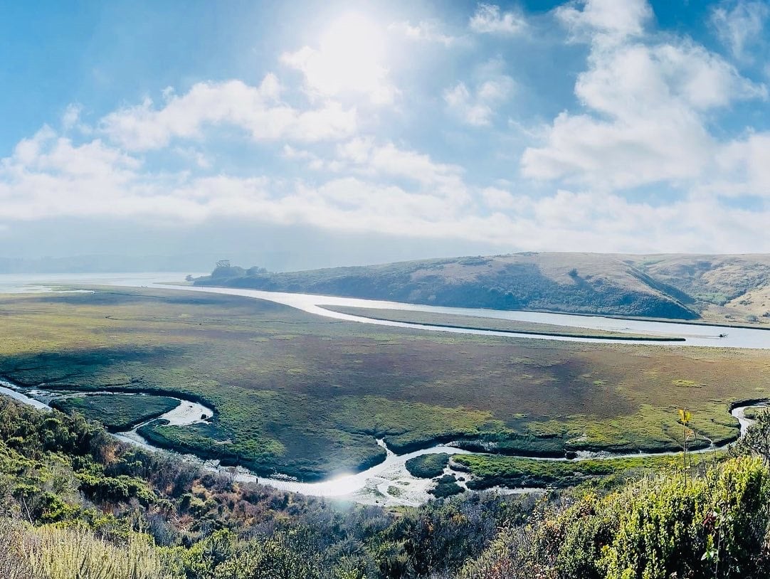 Bioluminescence Tour in Tomales Bay